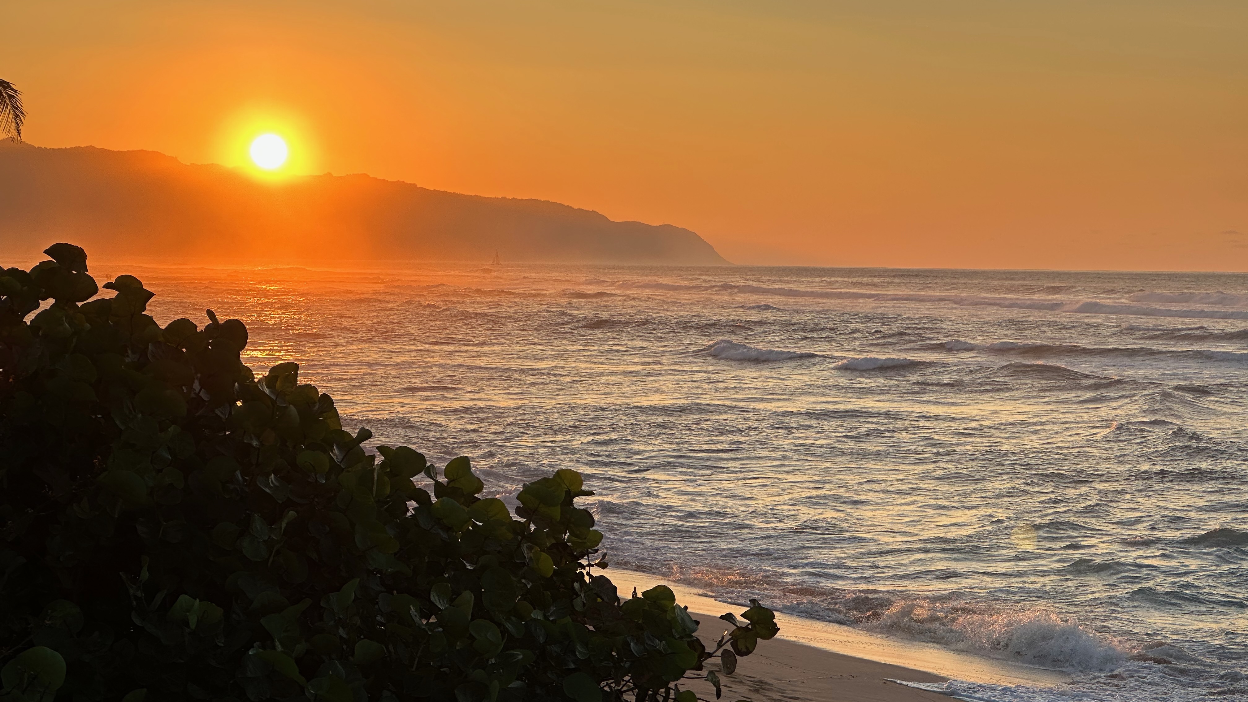 Can’t miss sunset walks like this.